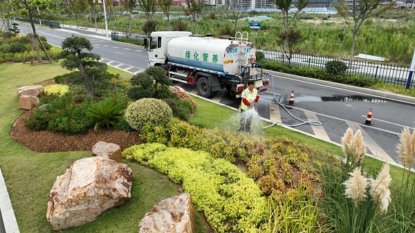 太平湖路，区城管局组织管养单位对花境进行浇水、养护.JPG